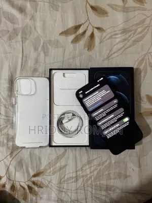 Apple iPhone 12 Pro Max 256 GB Blue