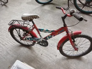 হাইকার এক্রোব্যাট ইউজড সিঙ্গেল-স্পিড স্টিল বাইক ২০ ইঞ্চি