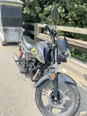 হোন্ডা লিভো ২০২৪ গ্রে
