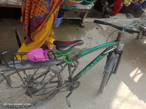 বাইসাইকেল সাইকেল