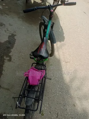 বাইসাইকেল সাইকেল