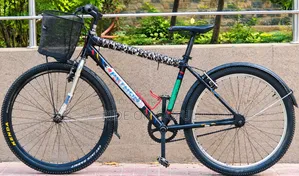Non Gear Fresh Conditions Bicycle Sale Hobe