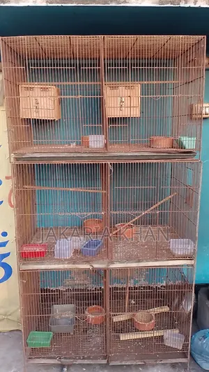 Bird Cage