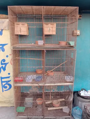 Bird Cage