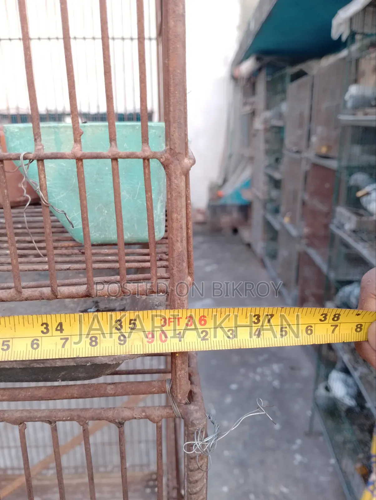 Bird Cage