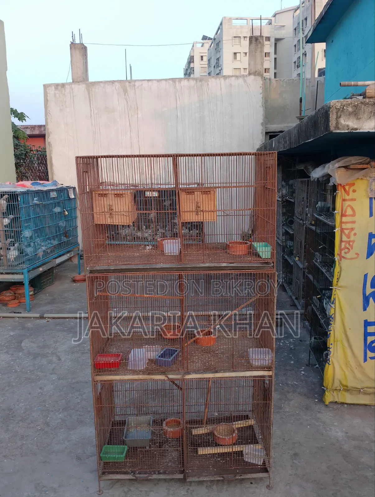 Bird Cage
