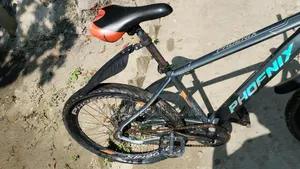 ফিনিক্স সাইকেল