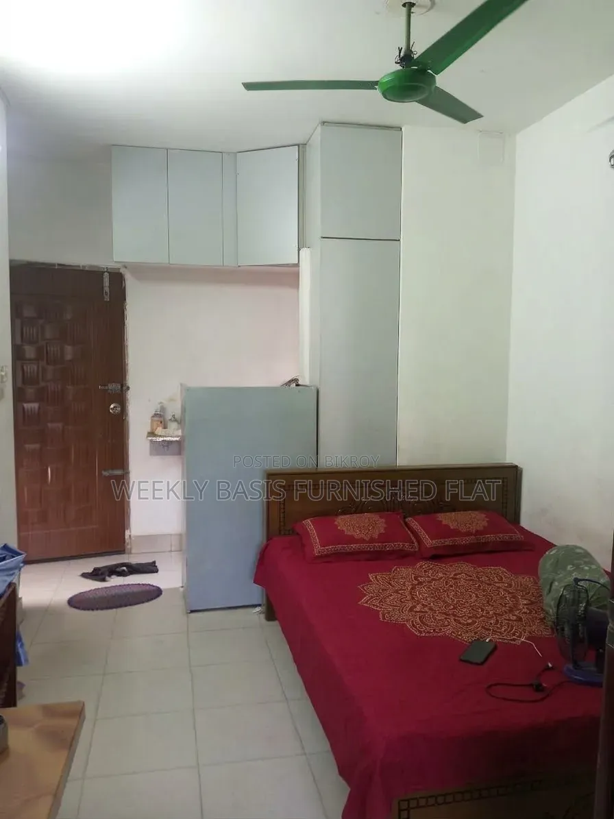 চিকিৎসার জন্য ফার্নিশড স্টুডিও অ্যাপার্টমেন্ট, মিরপুর ভাড়ার জন্য