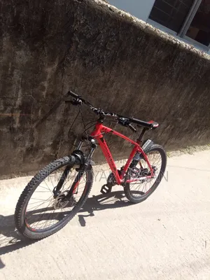 [ CYCLE ] Seventy One 2.0 Worrior
