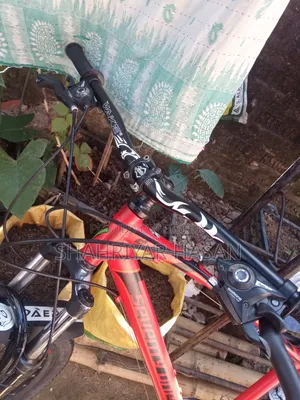 [ CYCLE ] Seventy One 2.0 Worrior