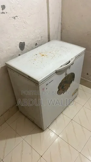 Mini Freezer