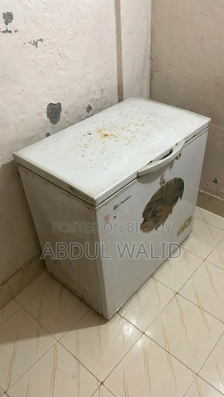 Mini Freezer