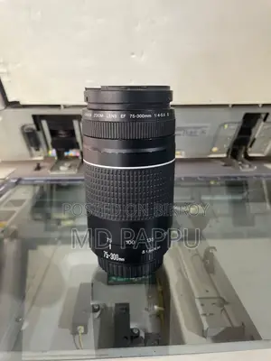 ক্যানন ১০০ডি