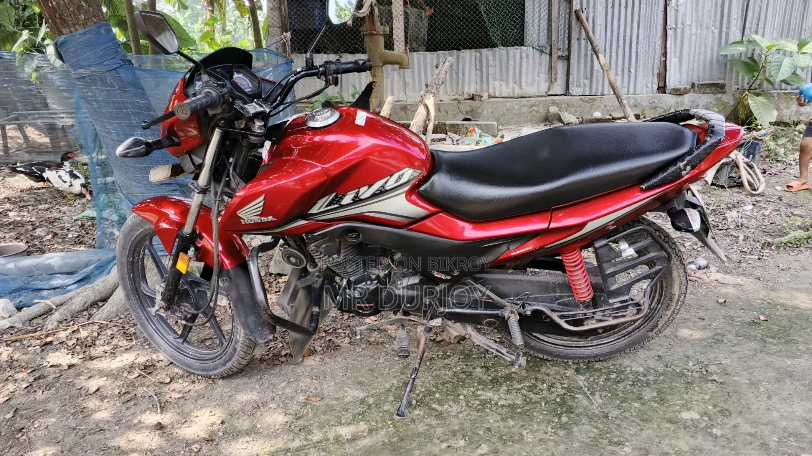 Honda Livo 2018 Red