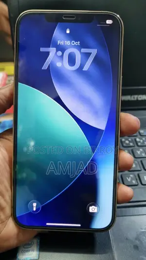 অ্যাপল আইফোন ১২ প্রো ম্যাক্স ১২৮ জিবি হোয়াইট