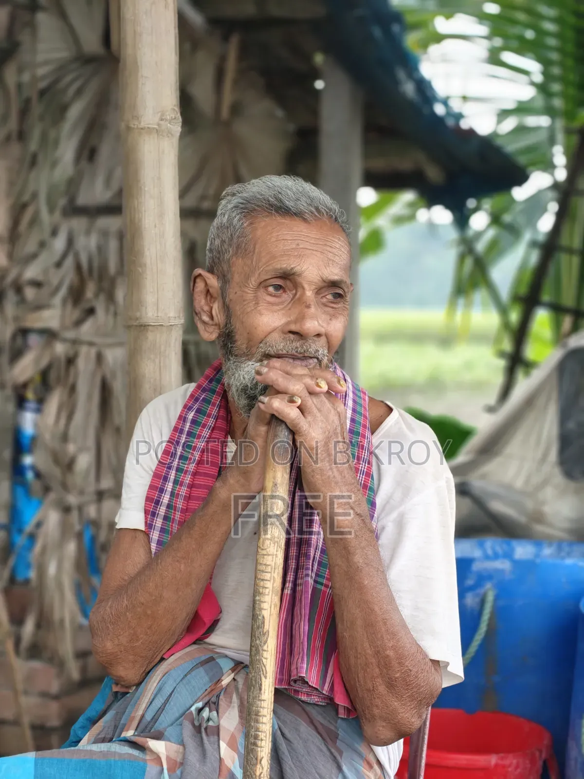 রিয়েলমি ১৪ প্রো প্লাস ২৫৬ জিবি