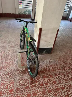 ফিনিক্স সাইকেল