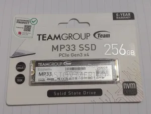 Team 256GB SSD