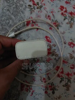 Samsung Original Fast Charger