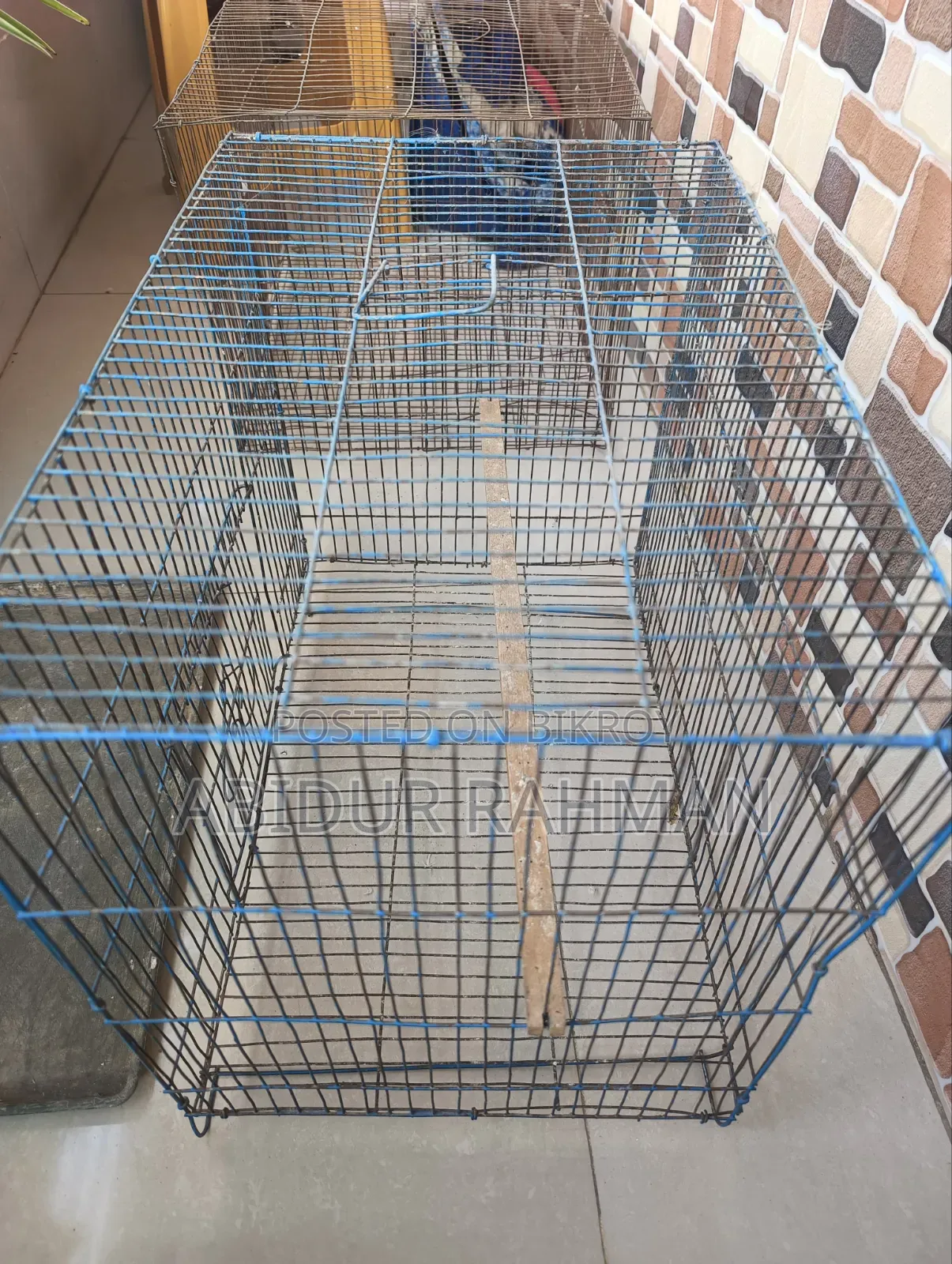 Bird Cage