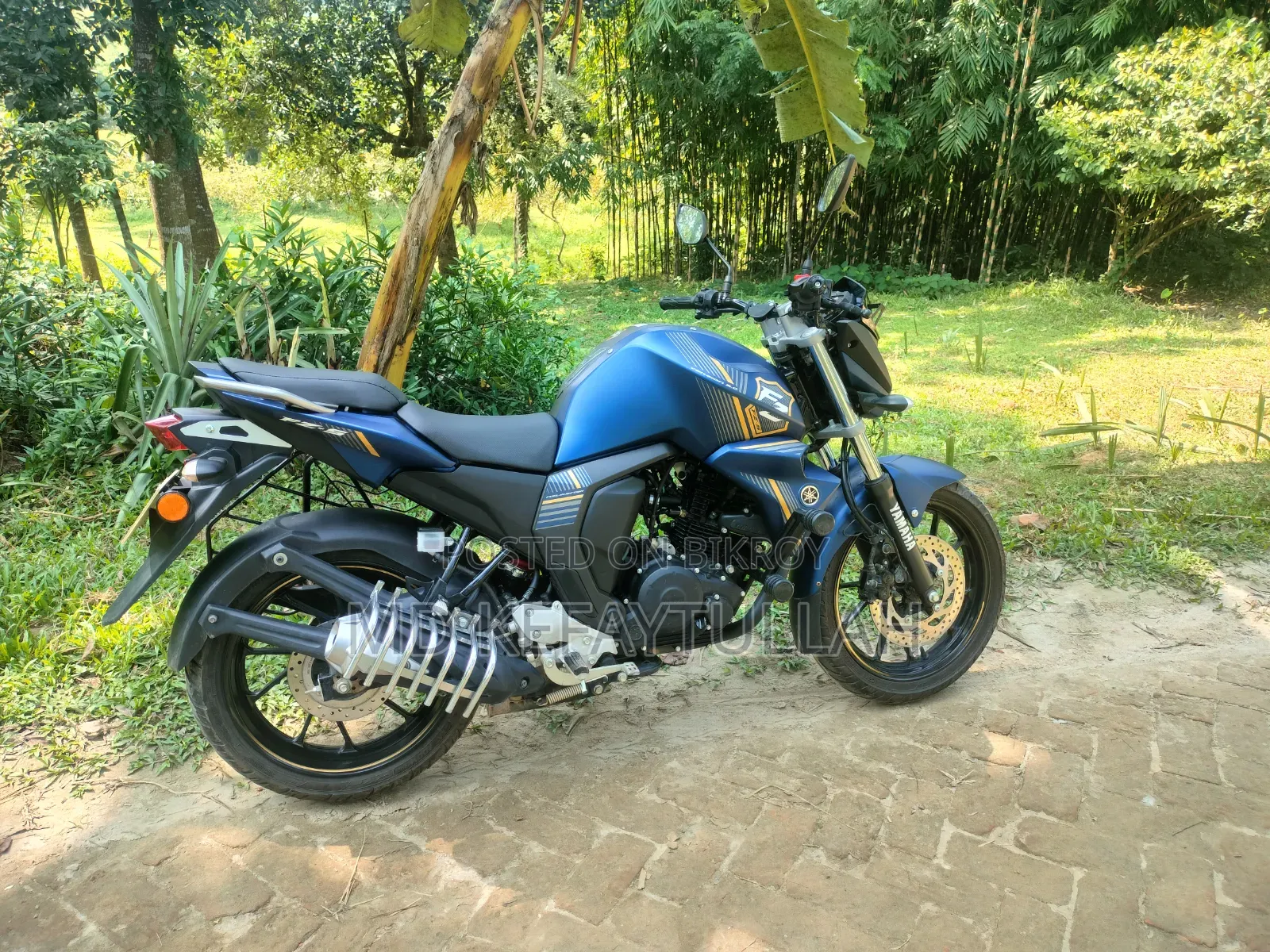 Yamaha FZS V2 2026 Green