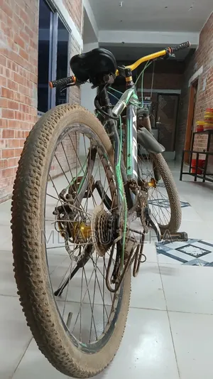 ১ বছর ইউস করা হইছে