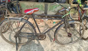 চায়না ফনিক্স সাইকেল বিক্রি করা হবে