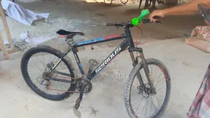 এই সাইকেল দিয়ে বিক্রি করা হবে