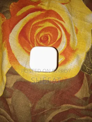 iPhone Adapter