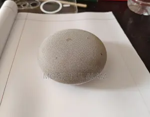 গুগল হোম মিনি