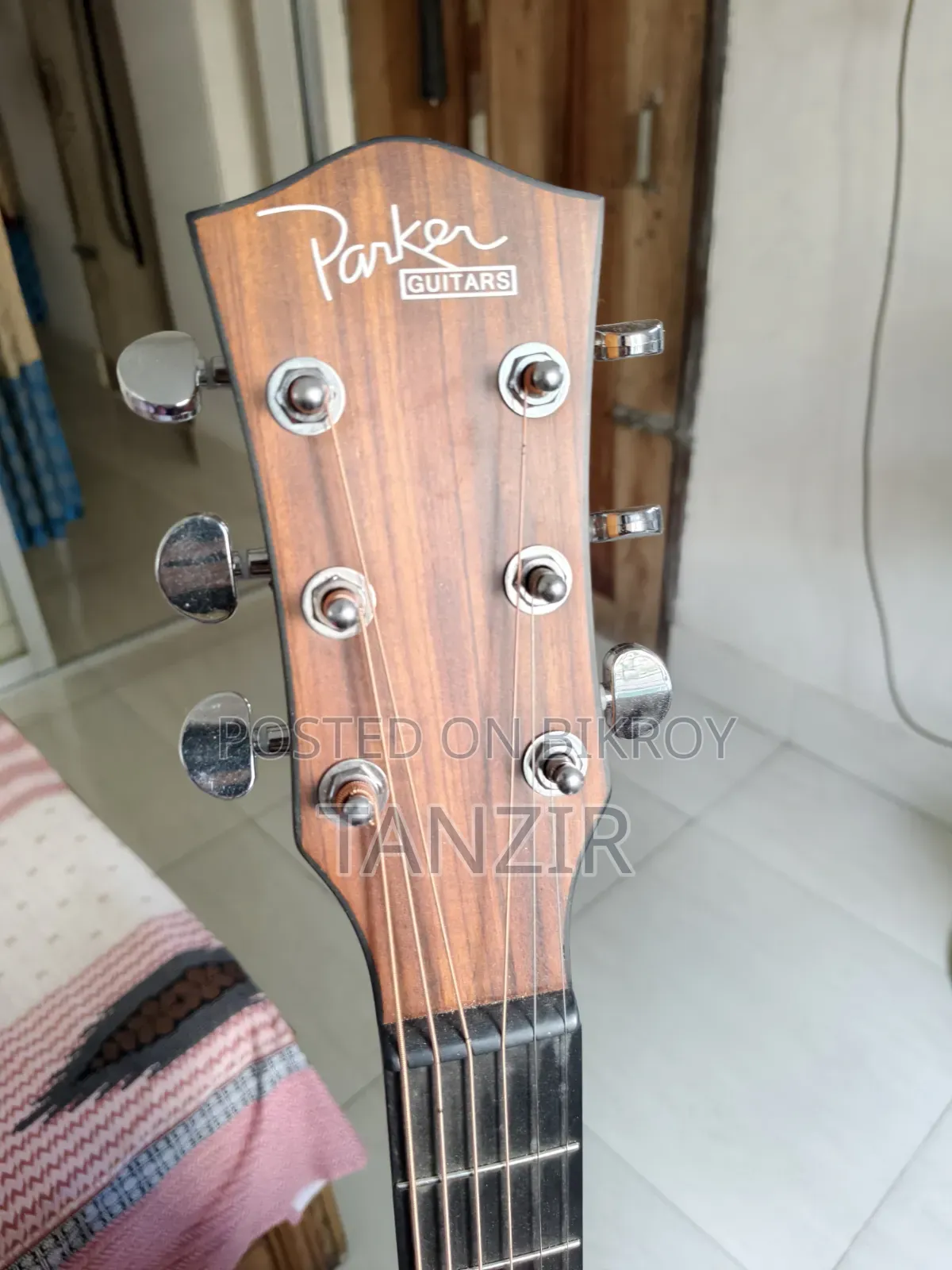 Parker 570 Acoustic Guitar