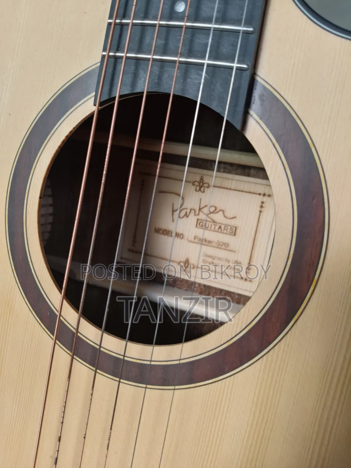 Parker 570 Acoustic Guitar