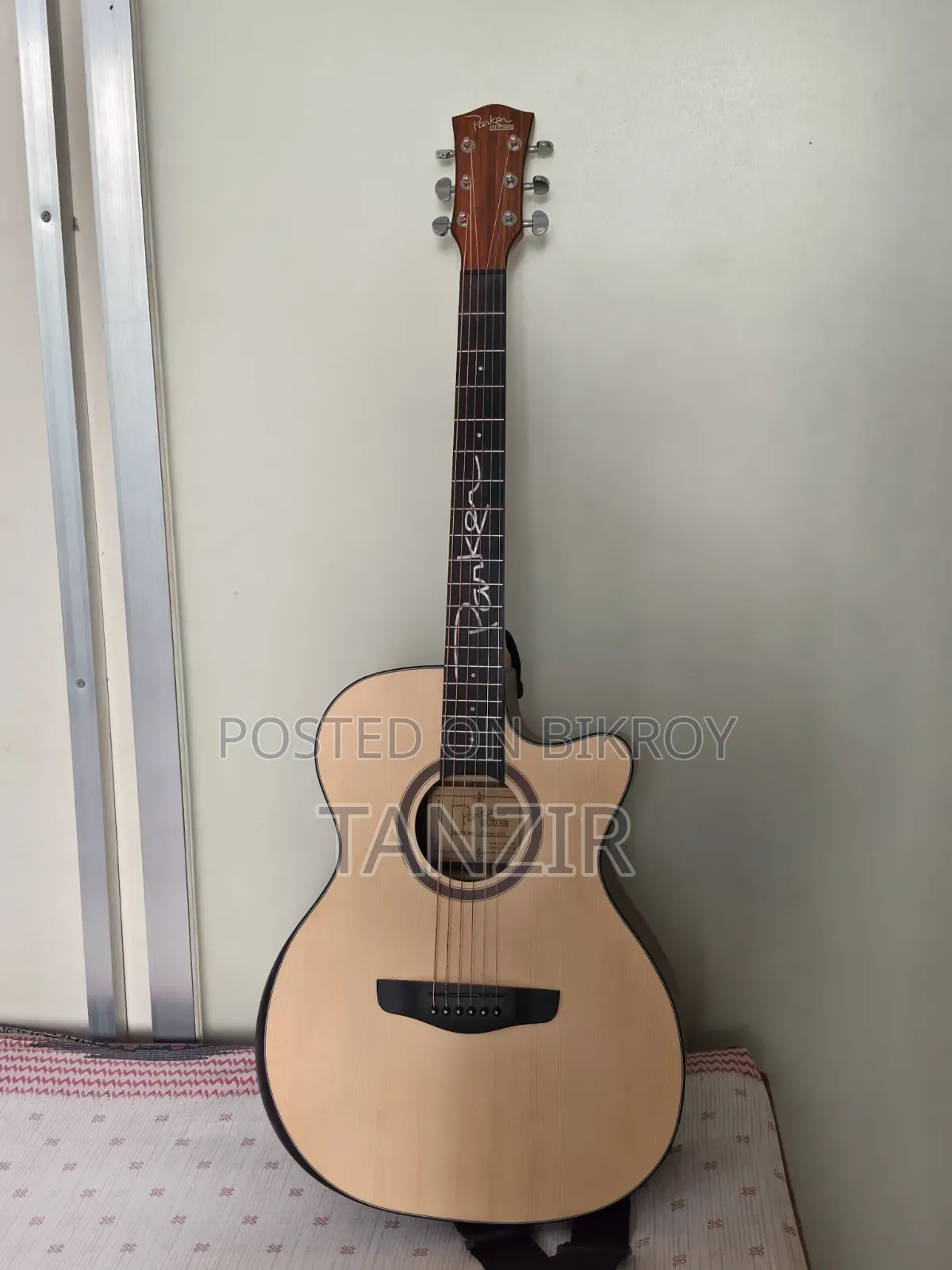 Parker 570 Acoustic Guitar