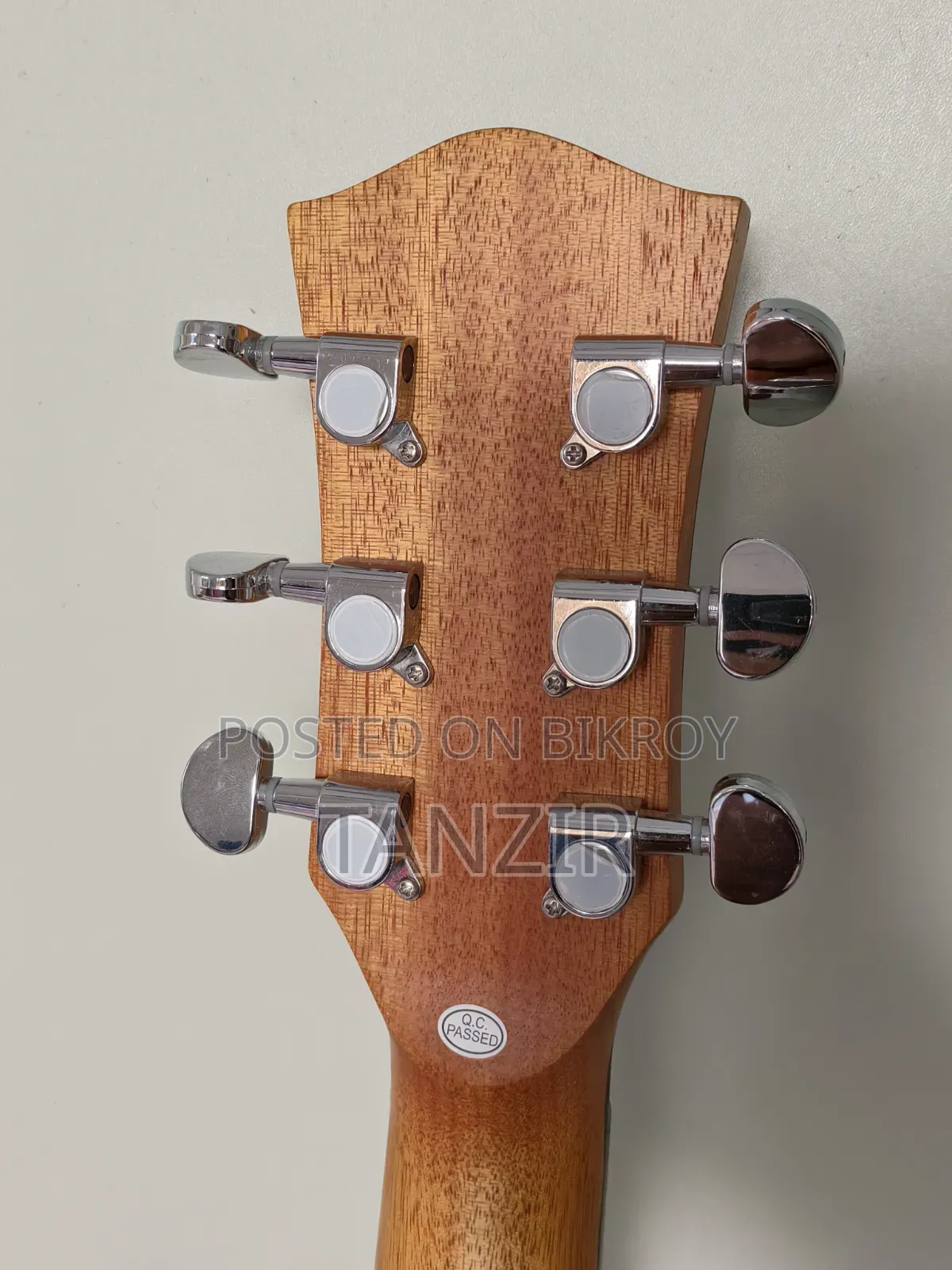 Parker 570 Acoustic Guitar