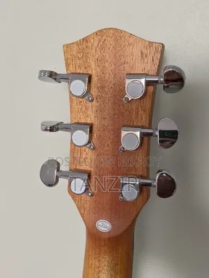 Parker 570 Acoustic Guitar