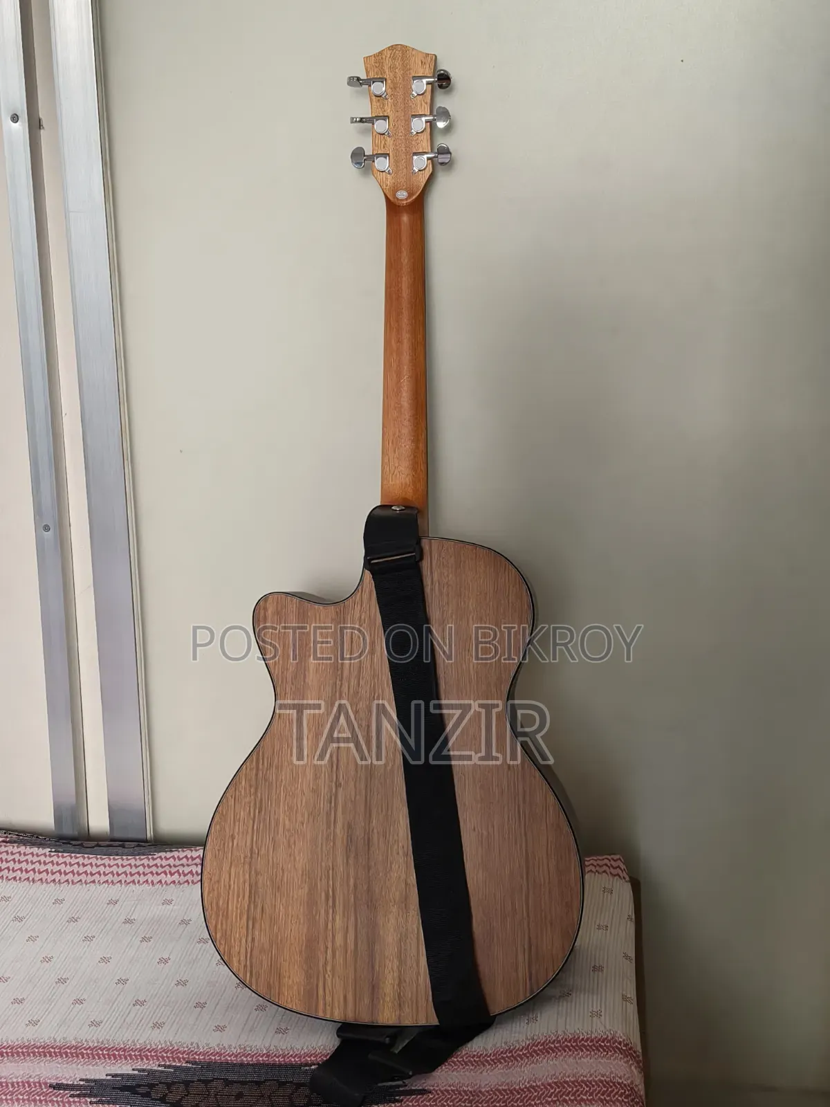 Parker 570 Acoustic Guitar