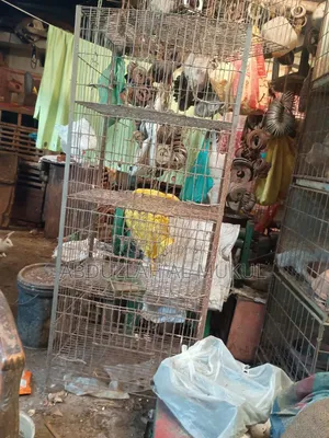 Thick Wire Cage