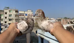 Military Running Pair