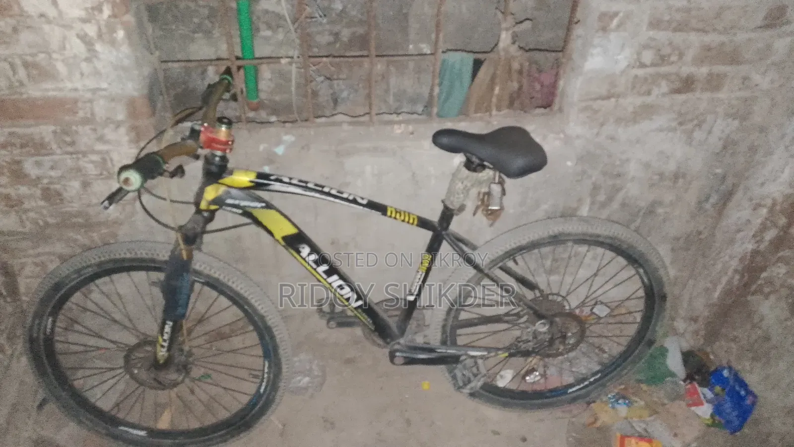 Bicycle Allion