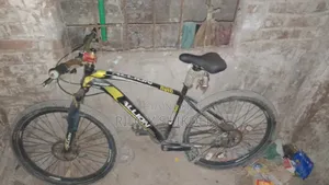 Bicycle Allion