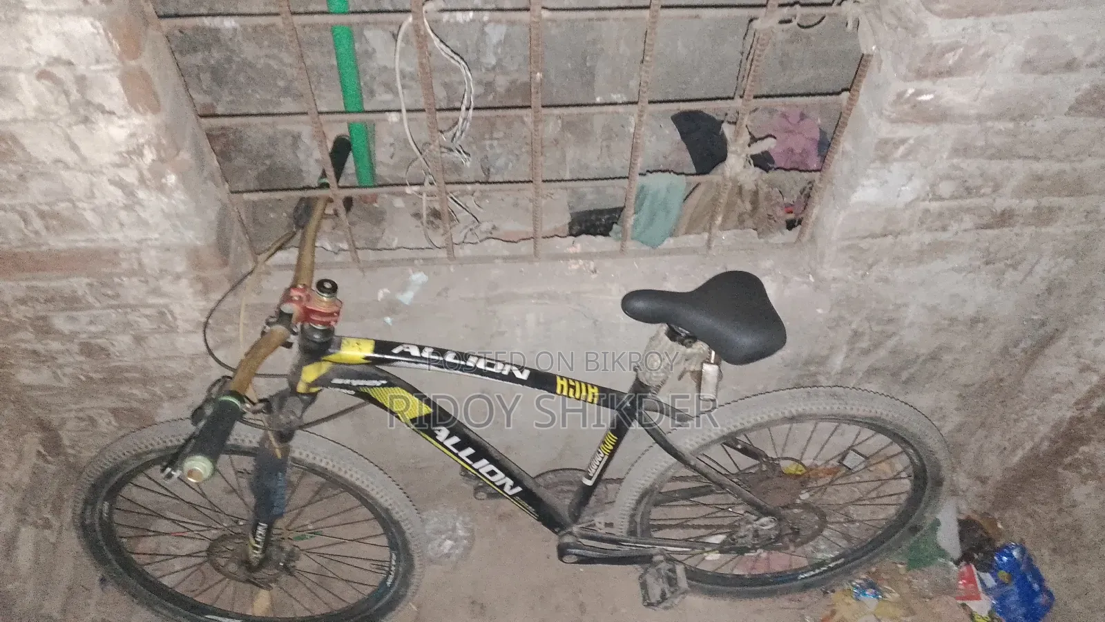 Bicycle Allion