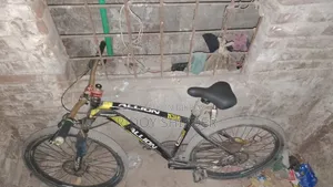 Bicycle Allion