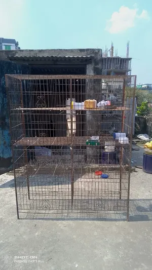 8-Compartment Pigeon Cage