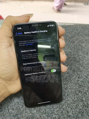অ্যাপল আইফোন এক্স ২৫৬ জিবি সবুজ