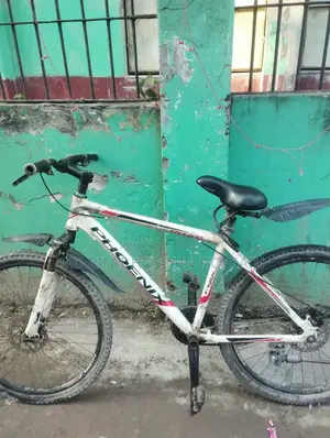 বাইসাইকেল ফনিক্স অ্যালমনিয়াম বডি