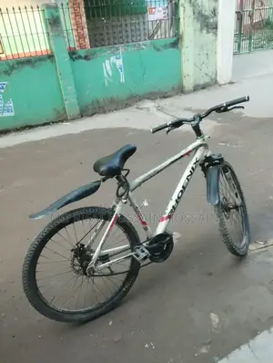 বাইসাইকেল ফনিক্স অ্যালমনিয়াম বডি