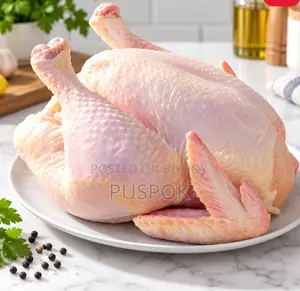 রান্নার জন্য প্রস্তুত মুরগির মাংস
