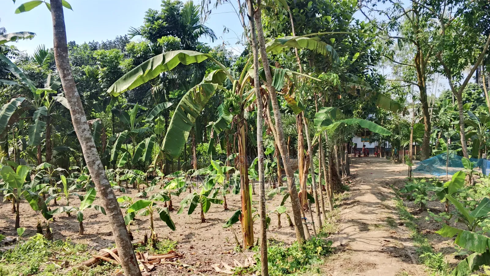 জমি বিক্রি হবে
