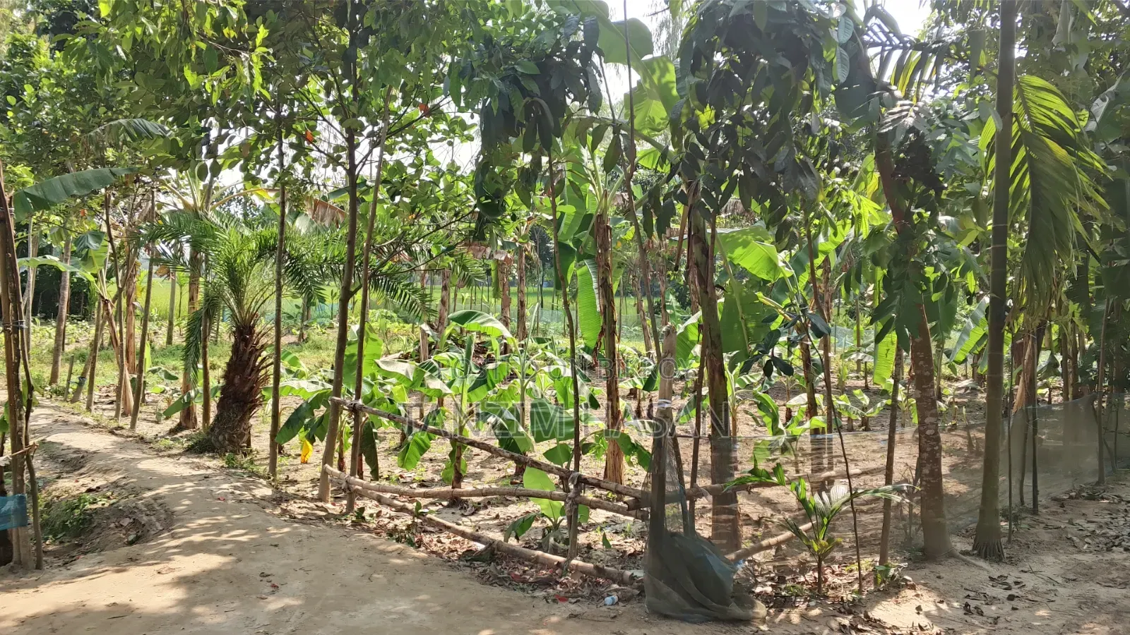 জমি বিক্রি হবে