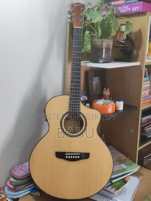 Deviser LS-161-N Electro-Acoustic Guitar